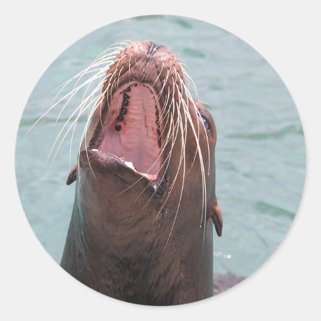 Sea Lion Mouth Open Sticker (Vorderseite)