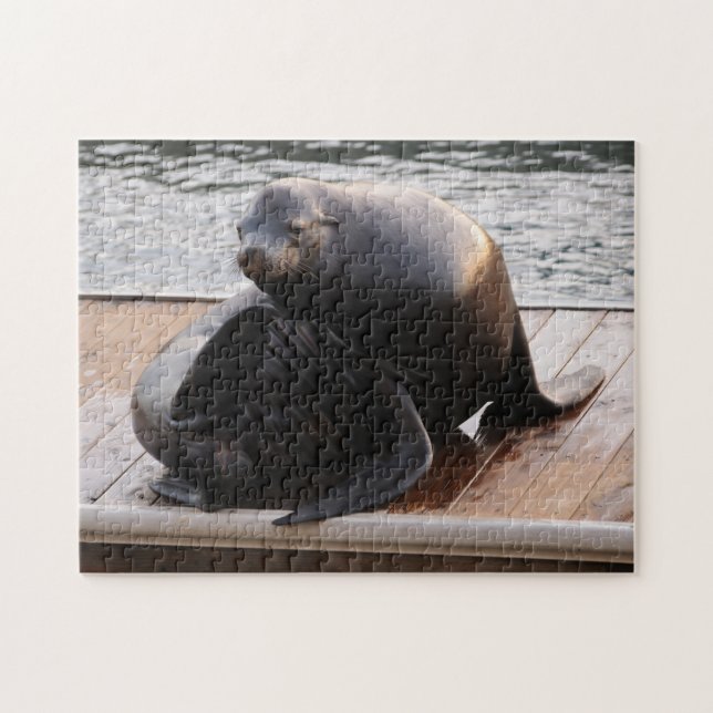 Sea Lion, Pier 39, Puzzle San Francisco (Horizontal)