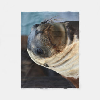 Sea Lion Portrait Fleecedecke