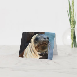 Sea Lion Portrait Karte