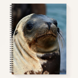 Sea Lion Portrait Notizbuch