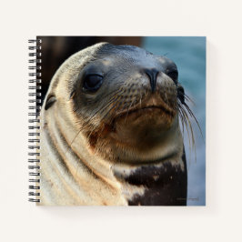 Sea Lion Portrait Notizbuch