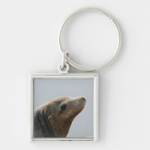 Sea Lion Schlüsselanhänger