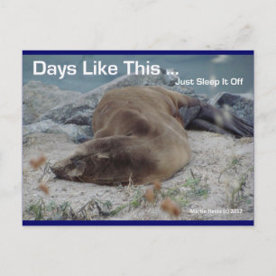 Sea Lion - Tage wie diese - Postkarte