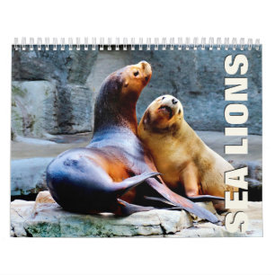Sea Lions 2022 Wall Calendar Kalender