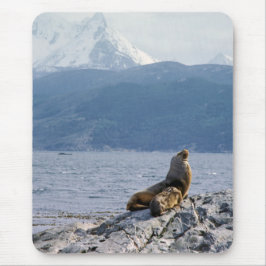 Sea lions in beagle channel - Argentina Mousepad