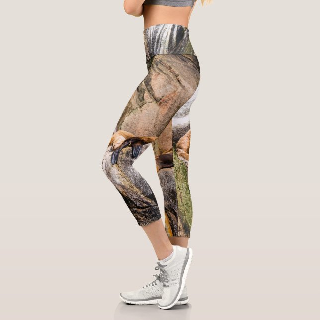 Sea Lions Laying On The Rocks Capri Leggings (Links)