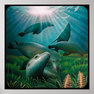 Sea Lions Poster