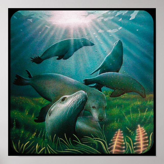 Sea Lions Poster (Vorne)