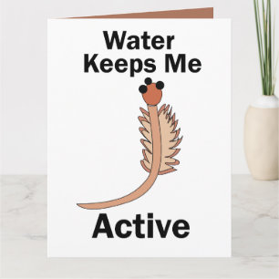 Sea Monkeys Salzwassergarnelen Wasser hält mich ak Karte