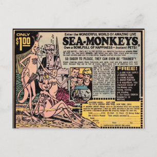 SEA-MONKEYS VINTAGE Postkarten