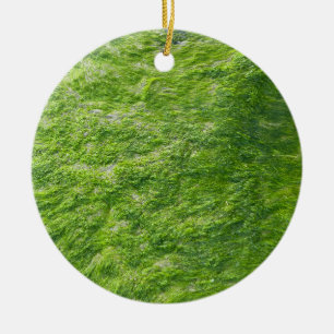 Sea Moss Green Nature Grass Beach Nautical Keramik Ornament