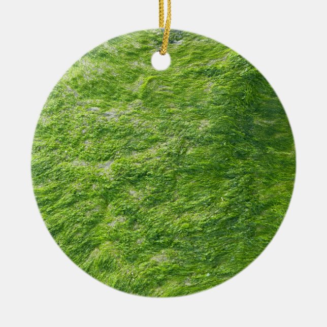 Sea Moss Green Nature Grass Beach Nautical Keramik Ornament (Vorne)