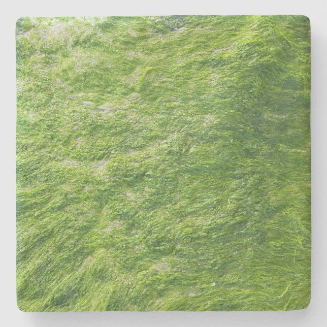 Sea Moss Green Nature Grass Beach Nautical Steinuntersetzer (Vorderseite)