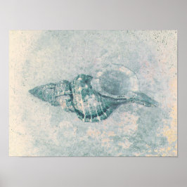 Sea Muschel Aquamarin Beige Vintag Ocean Beach Tex Poster