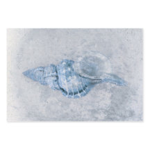 Sea Muschel Blau Vintag antiker Ozean Strand Textu