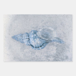 Sea Muschel Blau Vintag antiker Ozean Strand Textu Geschenkpapier Set