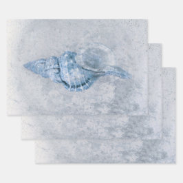 Sea Muschel Blau Vintag antiker Ozean Strand Textu Geschenkpapier Set