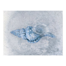 Sea Muschel Blau Vintag antiker Ozean Strand Textu
