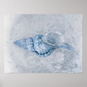Sea Muschel Blau Vintag antiker Ozean Strand Textu Poster