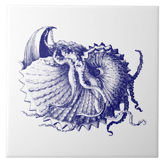 Sea Muschel Nautilus Blue & White Fliese (Vorderseite)