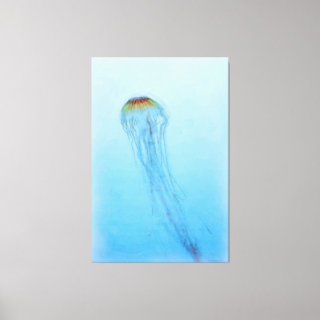 Sea Nettle Leinwanddruck (Vorderseite)