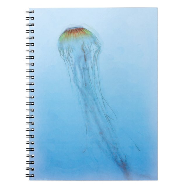 Sea Nettle Notizblock (Vorderseite)