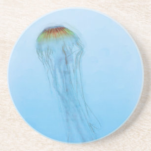 Sea Nettle Sandstein Untersetzer