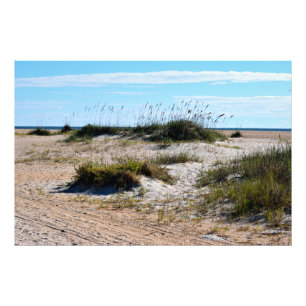Sea Oats am Strand Fotodruck