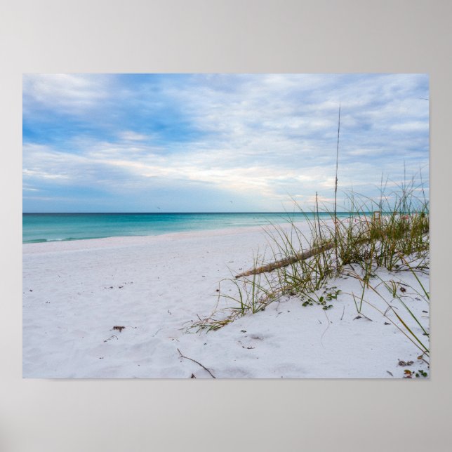Sea Oats And White Sand Beach Morning Poster (Vorne)