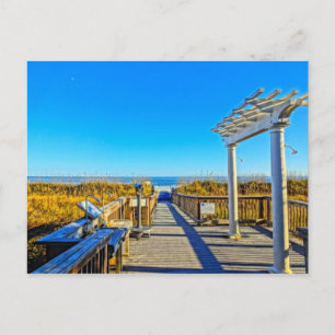 Sea Oats Sand & Surf! Hilton Head Island SC Postkarte