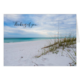Sea Oats White Sand Beach Morgens Gedanken U Card