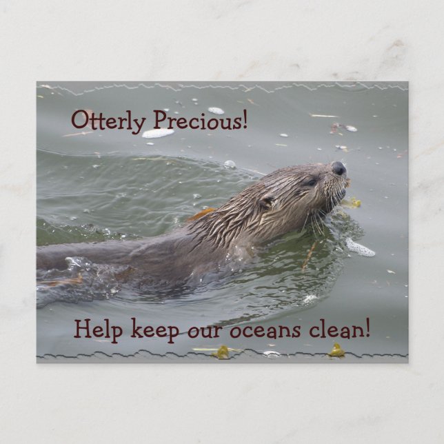 Sea Otter Anti-Verschmutzung Postkarte (Vorderseite)