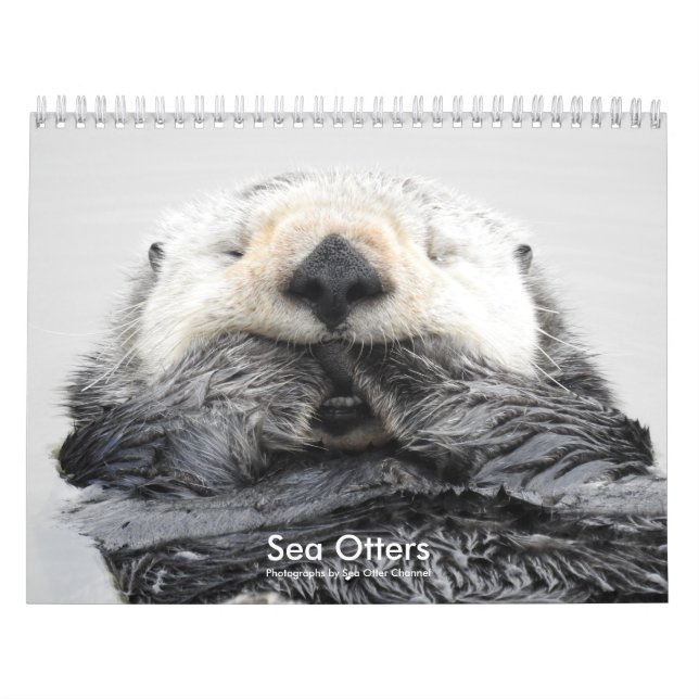 Sea Otter Channel Calendar #2 Kalender (Titelbild)