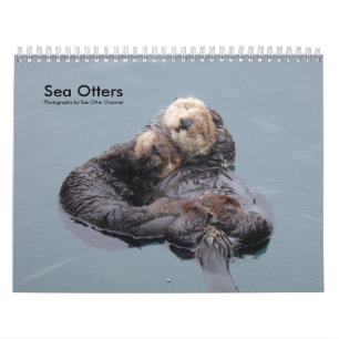 Sea Otter Channel Calendar #4 Kalender