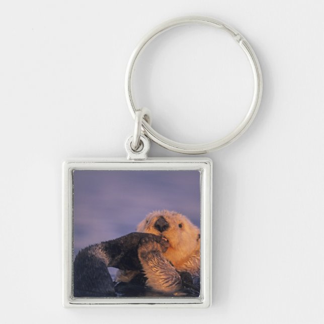 Sea Otter, Enhydra lutris Schlüsselanhänger (Vorne)