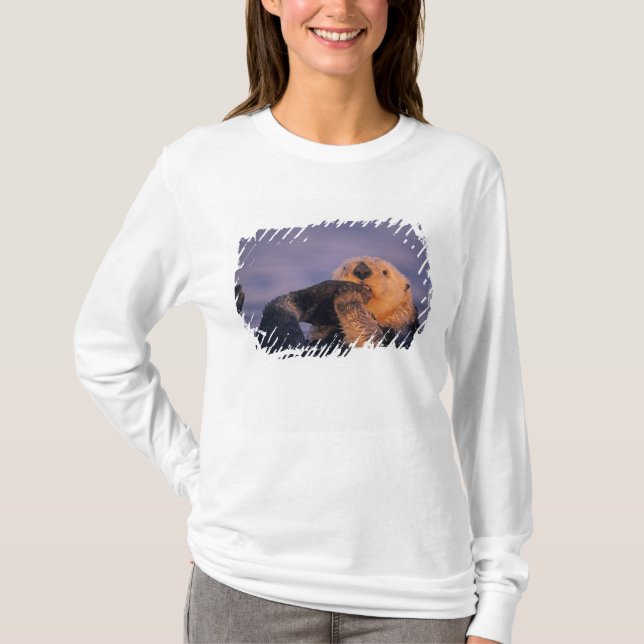 Sea Otter, Enhydra lutris T-Shirt (Vorderseite)