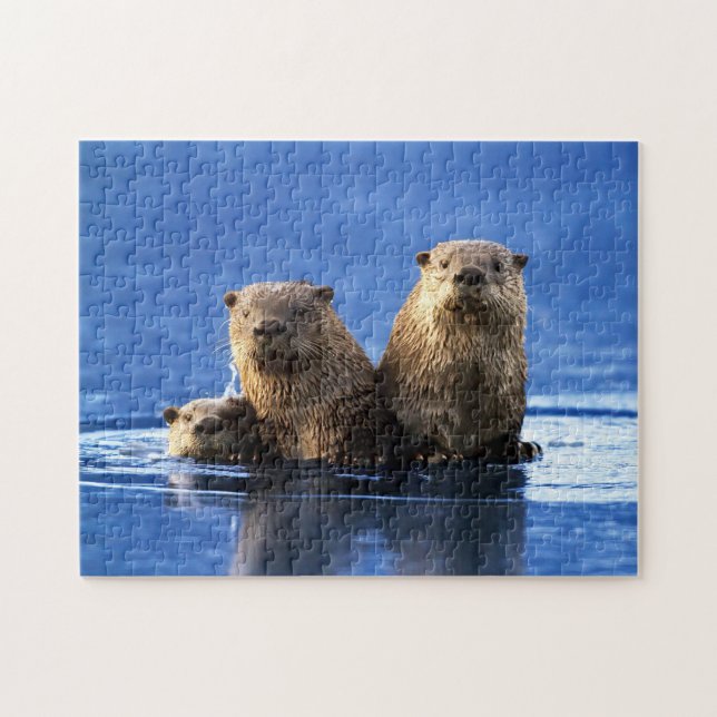Sea Otter Familie, Jigsaw Puzzle (Horizontal)