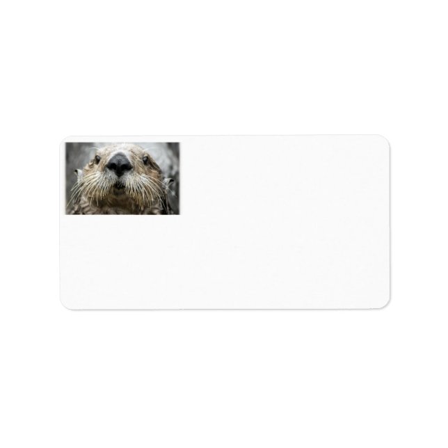 Sea Otter Foto Address Labels Adressaufkleber (Vorne)