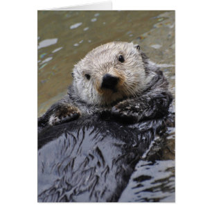 Sea Otter Framework Art Card