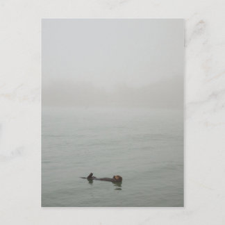Sea Otter im Nebel Postkarte