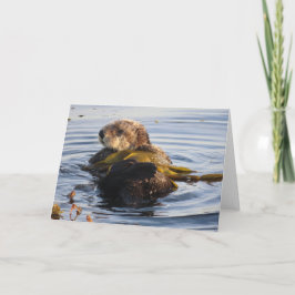 Sea Otter in Kelp umwickelt Karte