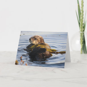 Sea Otter in Kelp umwickelt Karte