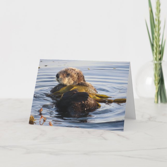 Sea Otter in Kelp umwickelt Karte (Vorderseite)