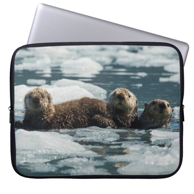 Sea Otter Laptopschutzhülle (Vorderseite)