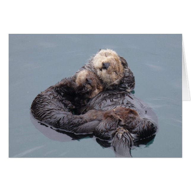 Sea Otter Mom and Pup (Vorderseite (Horizontal))