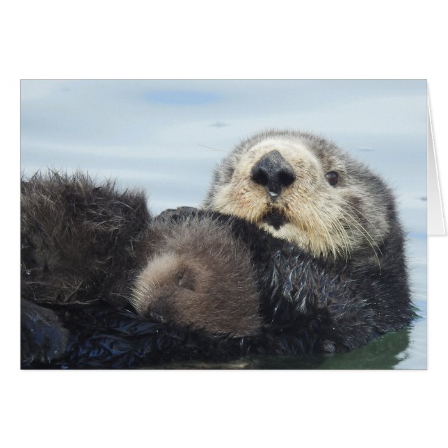 Sea Otter Mom and Pup (Vorderseite (Horizontal))