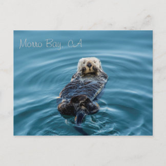 Sea Otter - Morro Bay Postkarte
