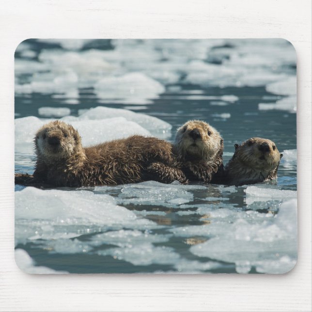 Sea Otter Mousepad (Vorne)