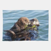 Sea Otter Mutter und Jungtier mit Seetang